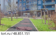 Spring path to an apartment building, a landscaped courtyard, young trees along the alley. Concept for the development of territories and adjoining space. Стоковое видео, видеограф Елизавета Малкова / Фотобанк Лори