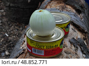 Луковица на консервных банках тушёнки ГОСТ 5284-84 (2009 год). Редакционное фото, фотограф Николай Кузнецов / Фотобанк Лори