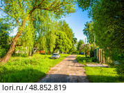 Дорога в деревне. Редакционное фото, фотограф Илья Старков / Фотобанк Лори