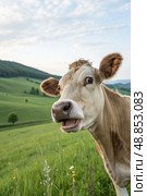 A cow with big bulging eyes and an open mouth in surprise on a green lawn, looking at the camera. Стоковое AI-изображение, AI-художник Коханова Наталья / Фотобанк Лори