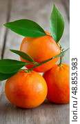 Fresh Oranges and Leaves Arranged on a Wooden Surface in Natural Light During Midday. Стоковое AI-изображение, AI-художник Юлия Гапеенко / Фотобанк Лори