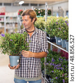 Salesman of flower supermarket near shelf with hebe chooses pot with plant to send for customer. Стоковое фото, фотограф Яков Филимонов / Фотобанк Лори