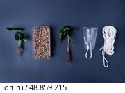 Alocasia ninja, alocasia amazonica, mineral substrate and disposable cup with wick on gray background. Preparing young plants for transplantation to wick watering. Flat lay, top view. Стоковое фото, фотограф Оксана Чаюн / Фотобанк Лори