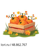 Pumpkins in a crate, vector illustration with copy space. Стоковое AI-изображение, AI-художник Ольга Березина / Фотобанк Лори