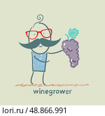 winegrower holds a bunch of grapes. Стоковая иллюстрация, агентство Ingram Publishing / Фотобанк Лори