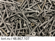 Self-tapping screws for drywall and metal. Стоковое фото, фотограф Регина Ерофеева / Фотобанк Лори