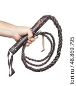 male hand holding brown leather whip isolated on white background. Стоковое фото, агентство Ingram Publishing / Фотобанк Лори