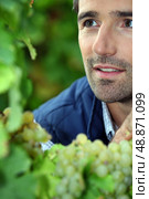 farmer in his vineyard. Стоковое фото, агентство Ingram Publishing / Фотобанк Лори