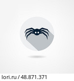 spider icon. Стоковая иллюстрация, агентство Ingram Publishing / Фотобанк Лори