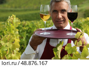 Sommelier with a glass each of red and white wines in a vineyard. Стоковое фото, агентство Ingram Publishing / Фотобанк Лори