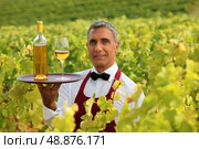 Wine waiter in the middle of vineyards. Стоковое фото, агентство Ingram Publishing / Фотобанк Лори