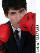 handsome businessman with boxing gloves. Стоковое фото, агентство Ingram Publishing / Фотобанк Лори