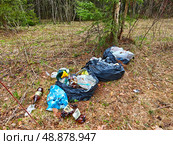 Kirov, Russia - May 01, 2025: Improperly disposed garbage littering a natural area highlights environmental pollution and its impacts on local ecosystems. Редакционное фото, фотограф Кривошеина Елена Леонидовна / Фотобанк Лори