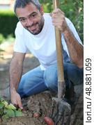 Man digging up vegetables in his garden. Стоковое фото, агентство Ingram Publishing / Фотобанк Лори