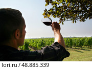 man watching the colour of a red wine of a red wine. Стоковое фото, агентство Ingram Publishing / Фотобанк Лори