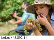 harvest. Стоковое фото, агентство Ingram Publishing / Фотобанк Лори