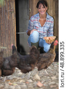 a woman gathering eggs in a hen house. Стоковое фото, агентство Ingram Publishing / Фотобанк Лори