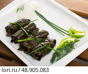 Stuffed grape leaves with assorted fillings. Стоковое фото, фотограф Яков Филимонов / Фотобанк Лори