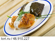 Cabbage and grape rolls in leaves at plate, dish of European cuisine. Стоковое фото, фотограф Яков Филимонов / Фотобанк Лори