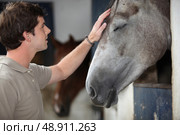A man with his horse. Стоковое фото, агентство Ingram Publishing / Фотобанк Лори