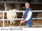 Cow farmer. Стоковое фото, агентство Ingram Publishing / Фотобанк Лори