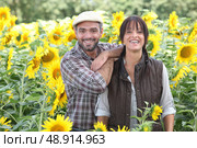 a couple of farmers in a sunflowers field. Стоковое фото, агентство Ingram Publishing / Фотобанк Лори