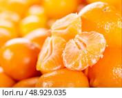 fresh tangerines. Стоковое фото, агентство Ingram Publishing / Фотобанк Лори