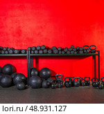 Kettlebells dumbbells and weighted slam balls weight training equipment at gym red wall. Стоковое фото, агентство Ingram Publishing / Фотобанк Лори