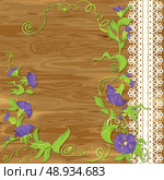  Convolvulus Flowers on wood baskground with empty space for text. Стоковая иллюстрация, агентство Ingram Publishing / Фотобанк Лори