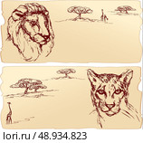Lion and cheetah heads. Hand drawn ink portrait horizontal sketch. Стоковая иллюстрация, агентство Ingram Publishing / Фотобанк Лори