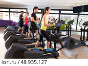 Aerobics elliptical walker trainer group at fitness gym workout. Стоковое фото, агентство Ingram Publishing / Фотобанк Лори