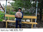 A child holding a large pumpkin after harvesting it. Стоковое фото, фотограф K. / Фотобанк Лори