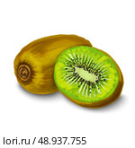 Natural organic sweet cut and sliced kiwi with pips tropical fruit decorative poster or emblem isolated vector illustration. Стоковая иллюстрация, агентство Ingram Publishing / Фотобанк Лори