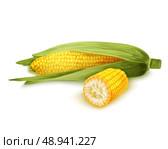 Vegetable organic food realistic yellow corn stalk isolated on white background vector illustration. Стоковая иллюстрация, агентство Ingram Publishing / Фотобанк Лори