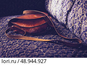 Woman’s bag on sofa. Стоковое фото, агентство Ingram Publishing / Фотобанк Лори