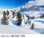 Winter trees in alp mountains. Стоковое фото, агентство Ingram Publishing / Фотобанк Лори