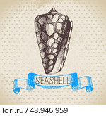 Seashell hand drawn sketch. Vintage illustration. Стоковая иллюстрация, агентство Ingram Publishing / Фотобанк Лори