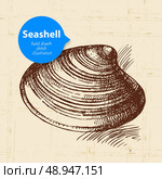 Seashell hand drawn sketch. Vintage illustration	. Стоковая иллюстрация, агентство Ingram Publishing / Фотобанк Лори