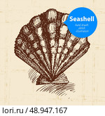 Seashell hand drawn sketch. Vintage illustration. Стоковая иллюстрация, агентство Ingram Publishing / Фотобанк Лори