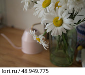 Цветы. Стоковое фото, фотограф Кутовой Юрий Викторович / Фотобанк Лори