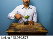 Young man at desk with bonsai. Стоковое фото, агентство Ingram Publishing / Фотобанк Лори
