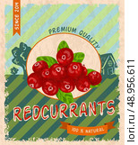 Natural fresh organic sweet garden red currant premium quality retro poster vector illustration. Стоковая иллюстрация, агентство Ingram Publishing / Фотобанк Лори