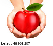 ed ripe apple in a hands. Concept of diet. Vector. . Стоковая иллюстрация, агентство Ingram Publishing / Фотобанк Лори