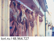 Pheasants hanging outside a butcher’s shop. Стоковое фото, агентство Ingram Publishing / Фотобанк Лори
