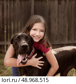 great dane and kid girl hug playing together at backyard outdoor. Стоковое фото, агентство Ingram Publishing / Фотобанк Лори
