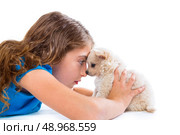 relaxed kid girl and puppy chihuahua dog lying happy profile view on white background. Стоковое фото, агентство Ingram Publishing / Фотобанк Лори