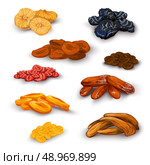 Sun dried fruit healthy nutritive food icons set with apricots raisins prunes figs abstract isolated vector illustration. Стоковая иллюстрация, агентство Ingram Publishing / Фотобанк Лори