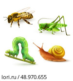Insects realistic colored decorative icons set with wasp grasshopper caterpillar snail isolated vector illustration. Стоковая иллюстрация, агентство Ingram Publishing / Фотобанк Лори