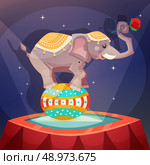 Circus vintage poster with elephant acrobat balanced on ball vector illustration. Стоковая иллюстрация, агентство Ingram Publishing / Фотобанк Лори