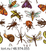Insects sketch colored decorative seamless pattern with bug butterfly dragonfly vector illustration. Стоковая иллюстрация, агентство Ingram Publishing / Фотобанк Лори
